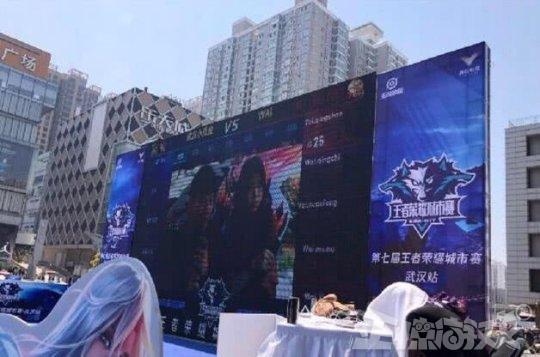 老鹰 老鹰